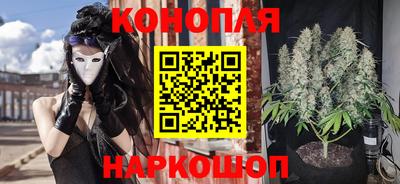 шишки Краснодар