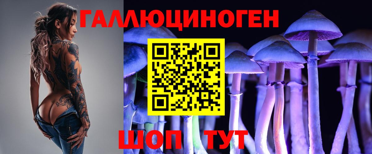 Псилоцибиновые грибы GOLDEN TEACHER  Псилоцибиновые грибы Psilocybine cubensis  Вход с VPN  где продают   Краснодар 